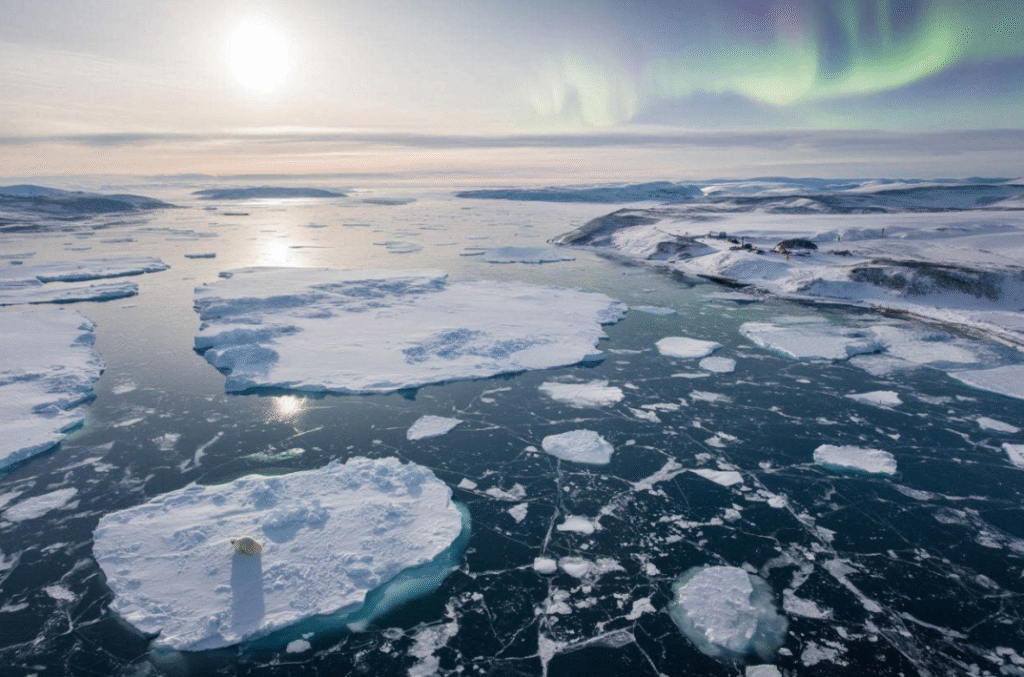 region near the North Pole NYT crossword